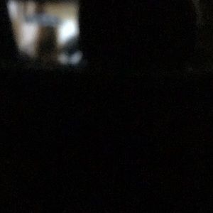 BUNDLE OF NIKE 2011 SB RETRO 1S DUNK ALL SIZE 11